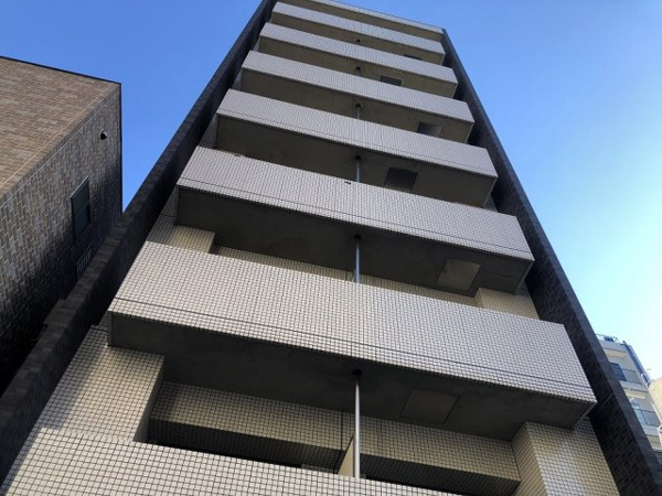 Volante並木の画像