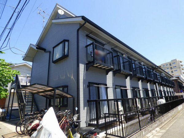 マイシュロスグレーの画像