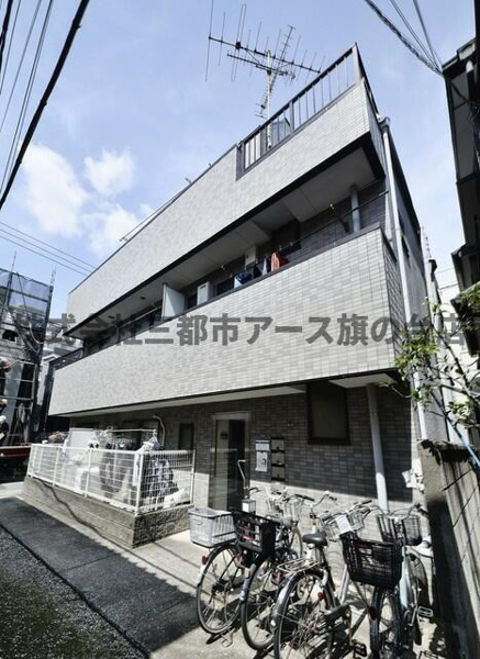 ソレイユハルミの画像