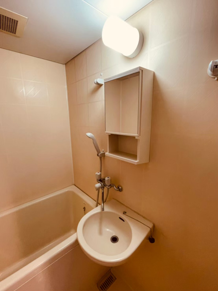 【マンションマツヤの洗面所】