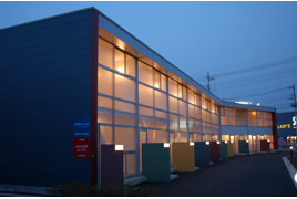 ブリリアントブルーの外観