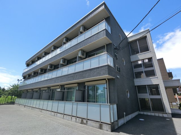 フィデールの画像