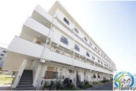 松が丘住宅19号棟の外観