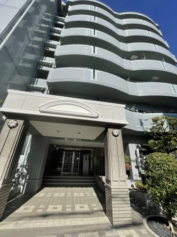 ドリーム菊水の画像