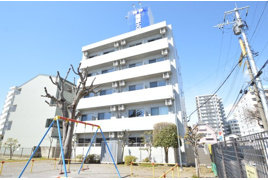 南大通りパークハイツの外観