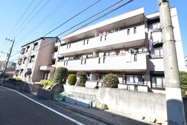 シルクトゥリーＡのイメージ