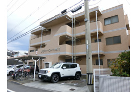 メジャーコートＭＹの外観