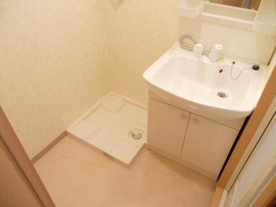 ビレイユ真英烏丸五条の洗面所