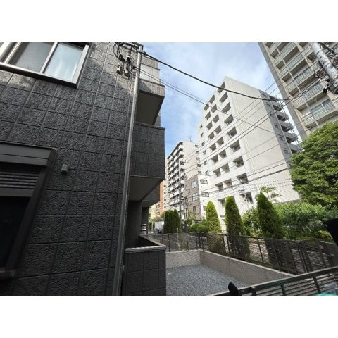 オリーブのイメージ