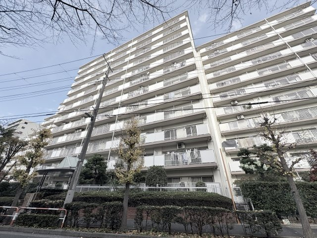 外観：313004702147