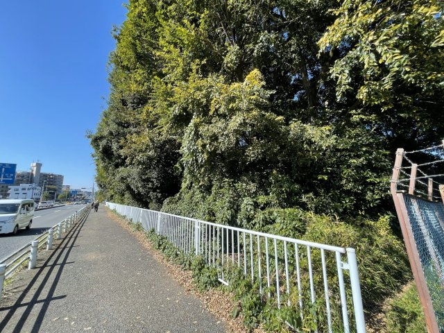 外観：312001233249