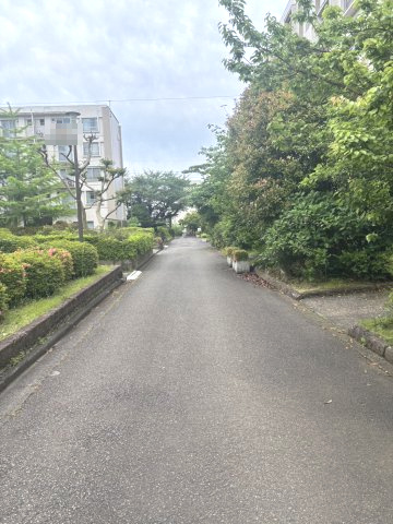 敷地内は緑が多く癒されます