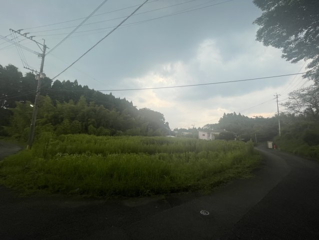 外観：343000048106