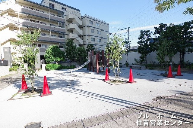 敷地内にある広場です！