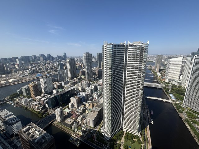 展望