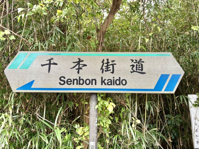 南側は千本街道に面してます（県道380号）