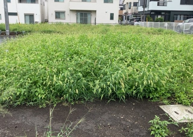 土地の形が極端に長細かったり、狭小地、あるいは道路との高低差がある傾斜地だった場合、後々売ろうとしても買い手がつかない場合もあります。後々、売却することになった時に価値の下がらない土地を選びましょう。