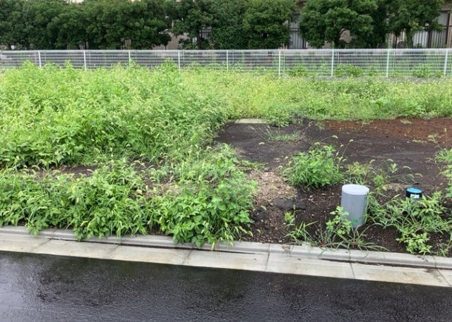 家を建てる場合、方位は要チェックです。現実的に日当たりのよい家ならばリビングは南側、建築基準法でも北側に当たる家への配慮は求められています。土地を見学に行く際は、方位磁針を持って行くようにしましょう。