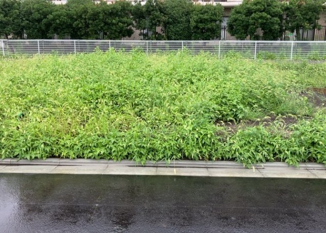 土地の前の道路に消火栓が設置されていることがあります。この場合、道路交通法第45条第1項により、駐車禁止の場所が指定されています。そのため、車庫などの駐車スペースをつくることができない場合があります。