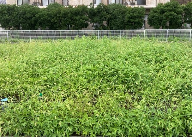 外観：314002369212