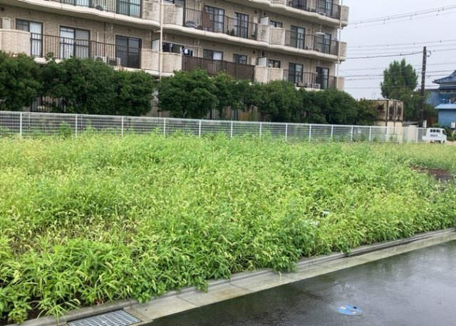 隣家の土地はどうなっているのか、生活利便施設が近くにあるのか、学校まで近いかなど、お客様のライフスタイルにあわせたイメージが重要です。また、近くにあると困る施設が近くにないかも確認するといいでしょう。