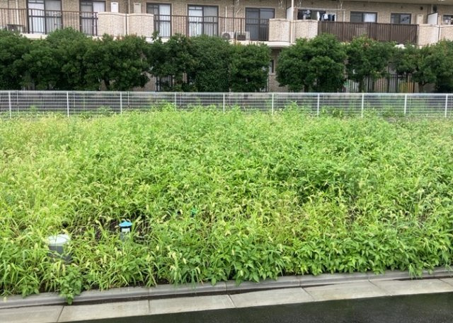 土地購入を検討されている場合、境界杭がない状態で購入してしまうと境界確定測量をする必要があり、費用がかかります。購入の前に、売主、隣土地所有者立ち合いのもと境界を確定し境界杭を設置するのがベストです。