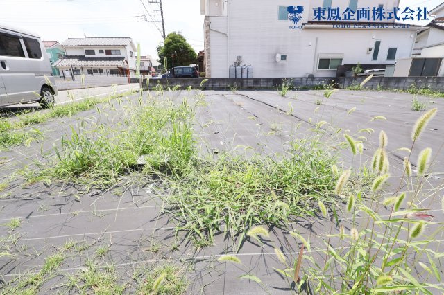 角地につき開放感があります