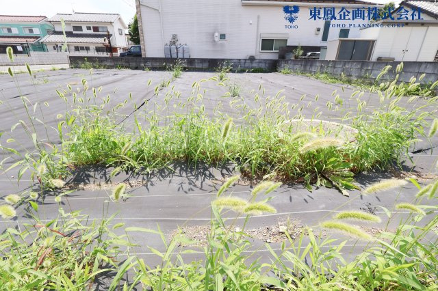 陽当り良好