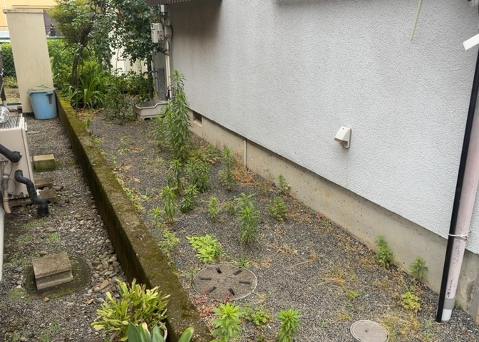 庭があることでガーデニングや家庭菜園はもちろん、こどもの遊び場やペットを放して遊ぶことができます。また、家の周囲に余裕があるということです。隣地との間があれば、十分な日当たりと、風通しが確保できます。