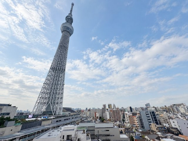 スカイツリーが目の前に広がる眺望