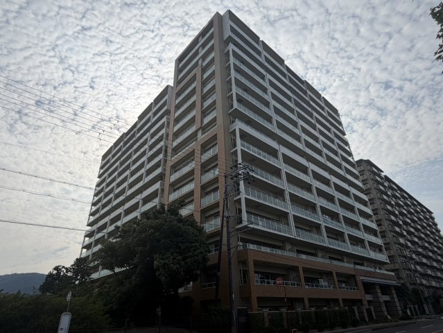 外観：325000131002