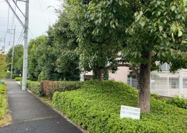 物件によっては、入居者が個人的に使用できる専用庭がついているものもあります。また、住宅の中にある土間の部分を庭と呼ぶこともあります。庭の用途は住む人によって変わり、それによってデザインもさまざまです。