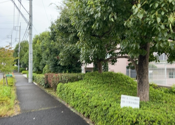 中庭（パティオ）とは、一つの建築物の内部に設けられた、壁などで囲われている庭のことを指します。コの字型、ロの字型が主流ですが、L字型の中庭もあります。最近では、インテリア性の高さからも人気があります。