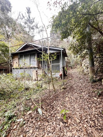 外観：328000595156