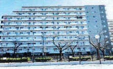 外観：313004668461