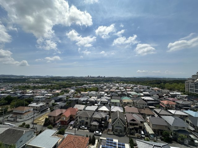 展望