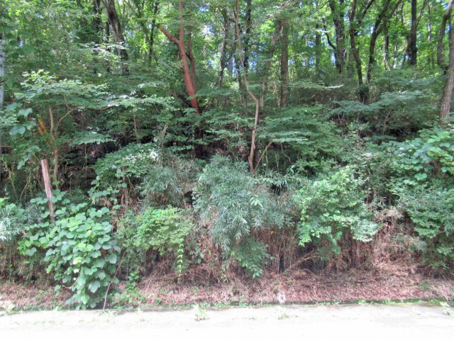 外観：309000091570