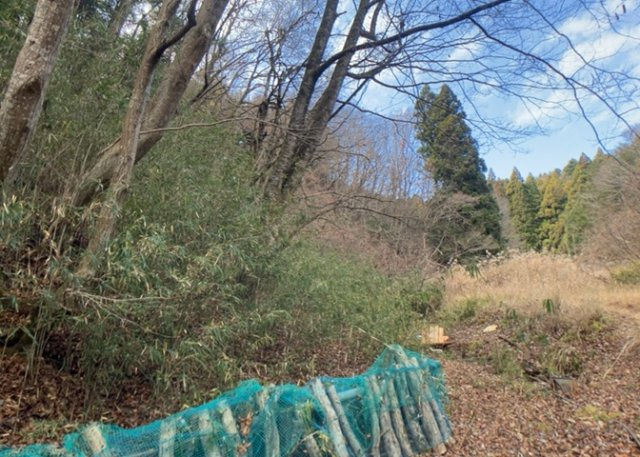 土地の面積＝住宅面積ではありません。建ぺい率の問題などで、土地のある場所によって住宅を建てられる面積は限られています。高さもしかり、「土地」という言葉の中には、建築条件も含まれると考えておきましょう。