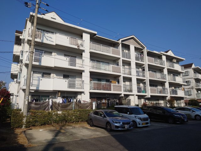 外観：328000584111