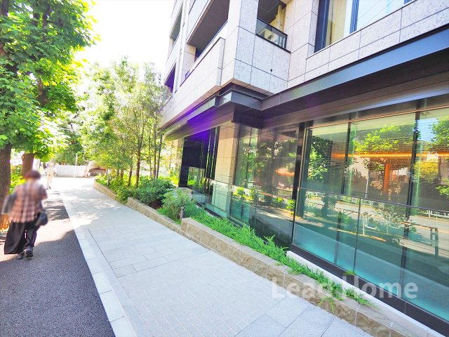 緑の街路樹が彩る見通しの良いフラットな前面歩道！道幅も広くベビーカーでのお散歩も安心安全です♪