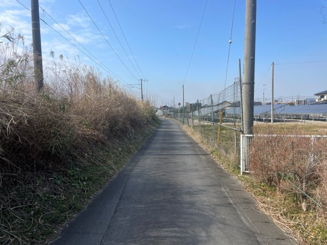 南側道路（公道）