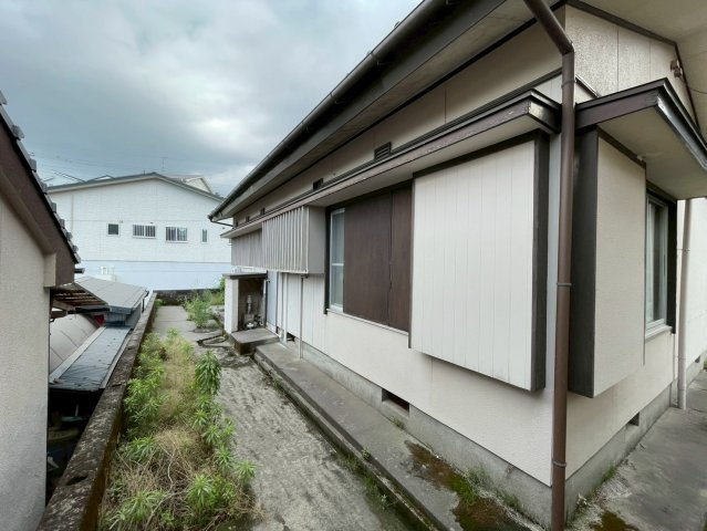 令和8年6月7日撮影