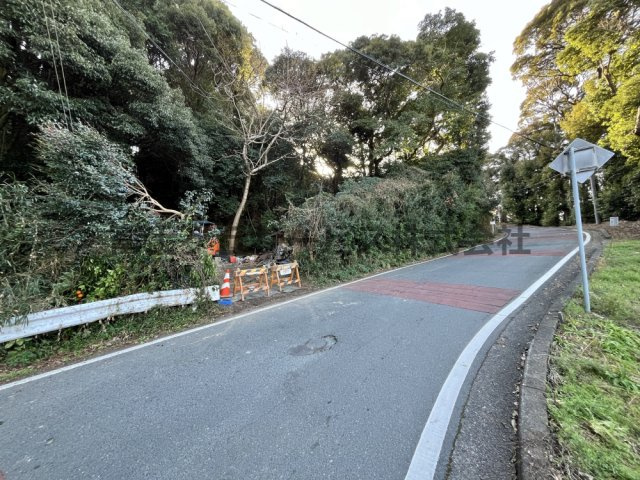 前面道路及び周辺環境