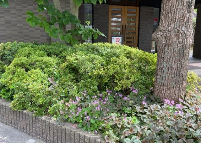 物件によっては、入居者が個人的に使用できる専用庭がついているものもあります。また、住宅の中にある土間の部分を庭と呼ぶこともあります。庭の用途は住む人によって変わり、それによってデザインもさまざまです。
