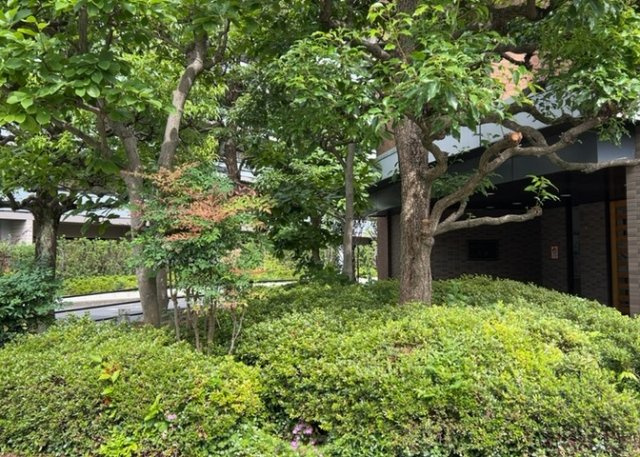 中庭（パティオ）とは、一つの建築物の内部に設けられた、壁などで囲われている庭のことを指します。コの字型、ロの字型が主流ですが、L字型の中庭もあります。最近では、インテリア性の高さからも人気があります。