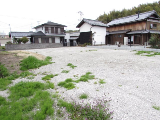 現地写真です。（令和6年4月撮影）