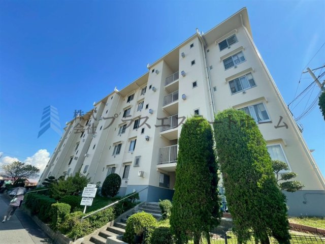 外観：328000618223