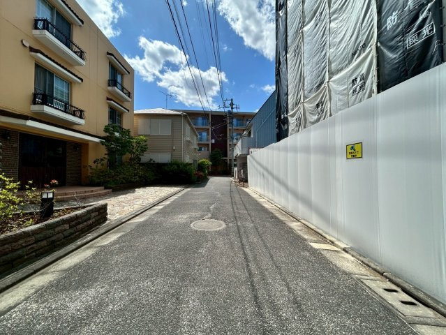 2026年5月11日撮影