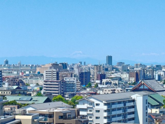展望