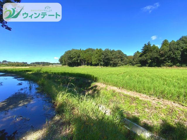 外観：308000192753